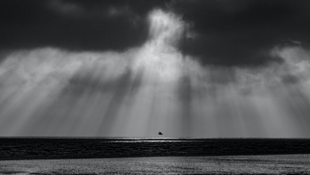 graysclae photography of calm body of water