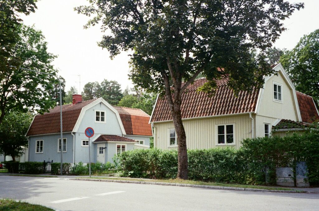 Houses and a tree sit on a street.