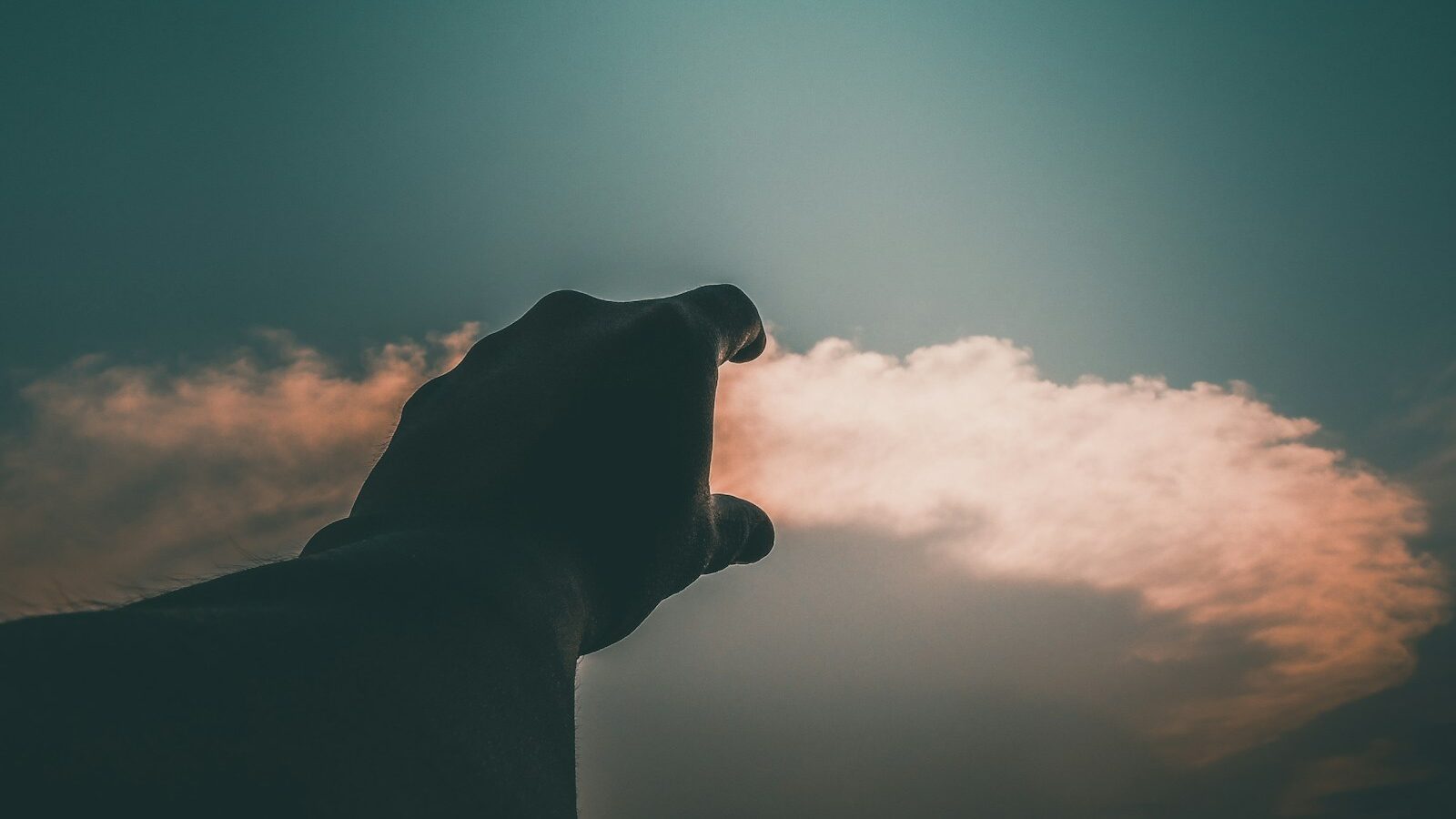 a large bear statue standing in front of a cloudy sky